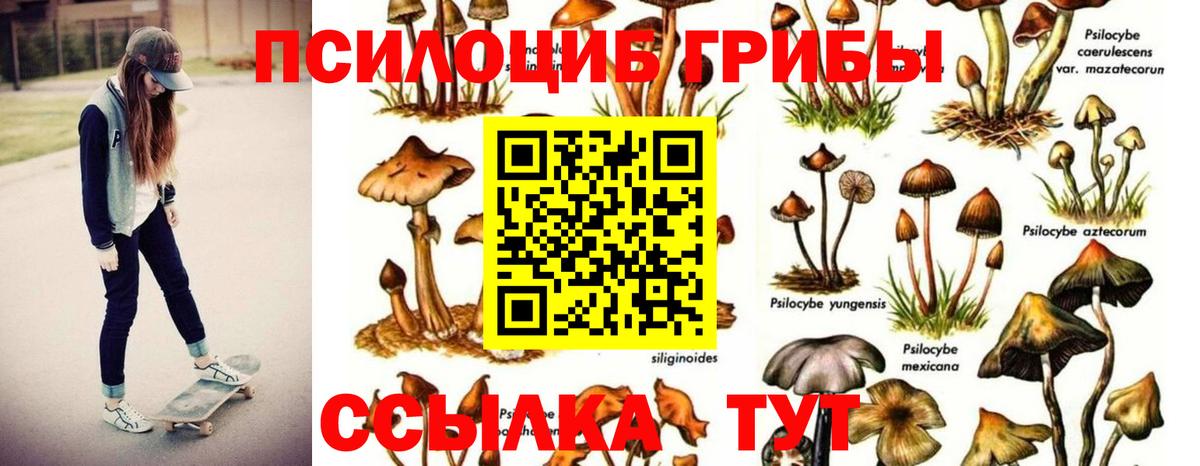 Галлюциногенные грибы Cubensis  Вход с VPN  Югорск 