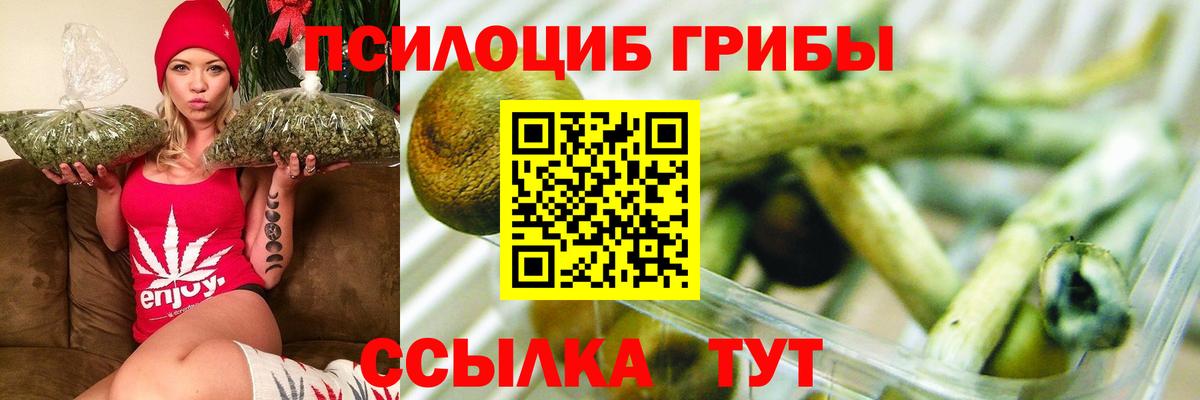 Псилоцибиновые грибы Magic Shrooms Югорск